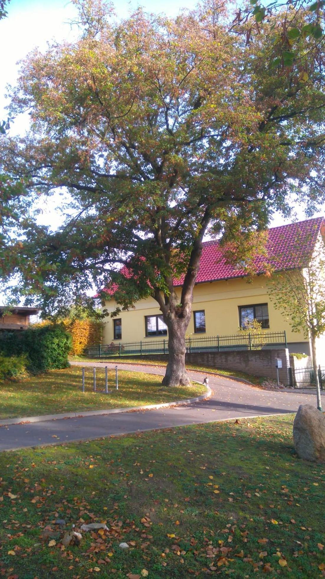 Ferienwohnung Perlitz Petersdorf  Exterior photo